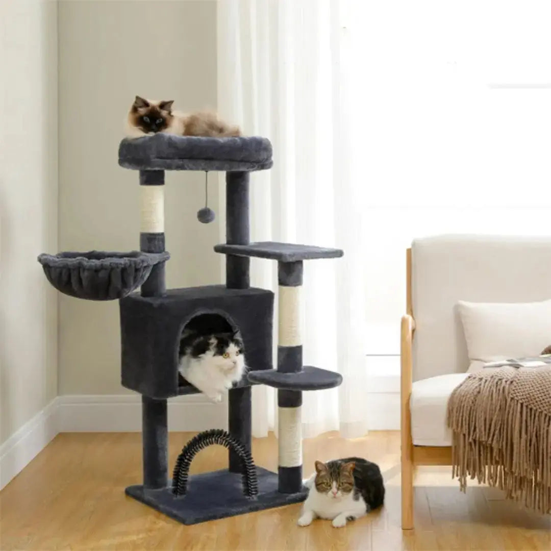 Arbre-a-chat-noir