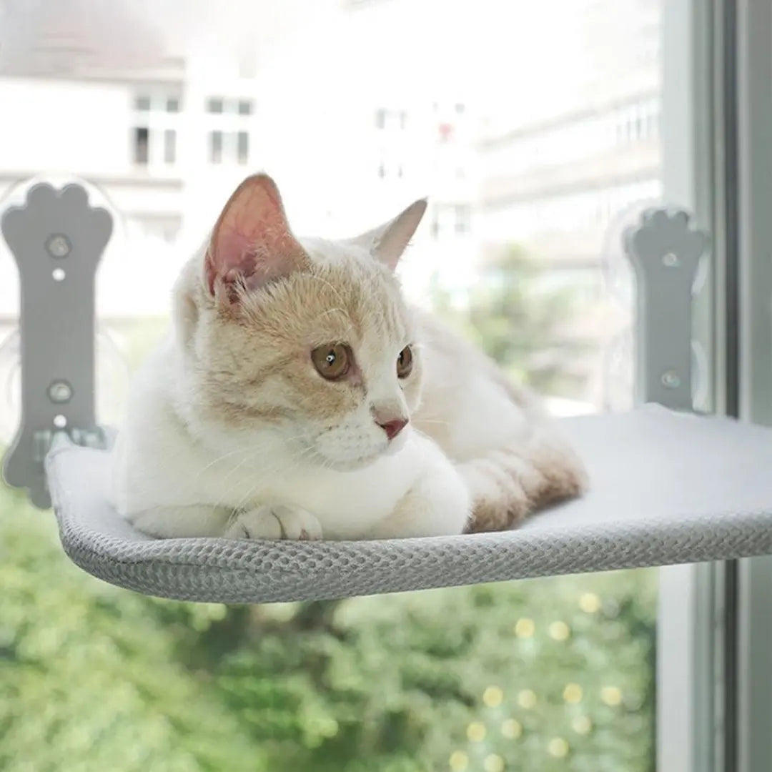 Hamac-pour-chat-gris-durable-hamac-fit
