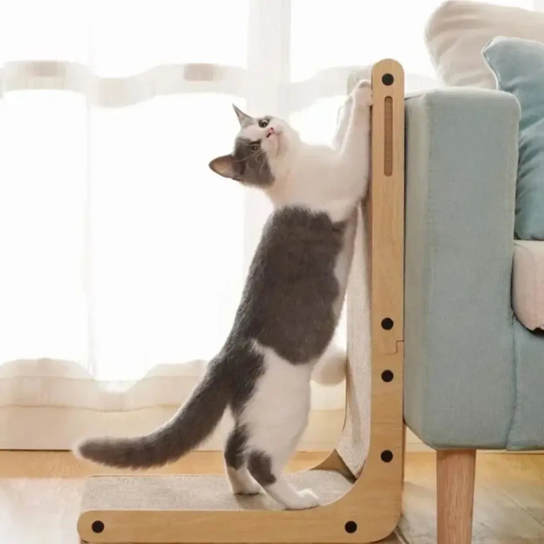 Griffoir carton chat | Zen'Griff™ - Arbre à Chat