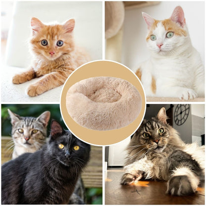 Coussin-Chat Donuts | Anneau-Zen™ 11 couleurs