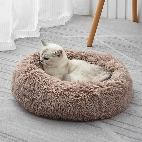 Coussin-chat-cafe-anneau-zen