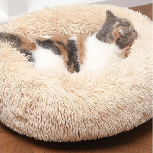 Coussin-pour-chat-beige-anneau-zen