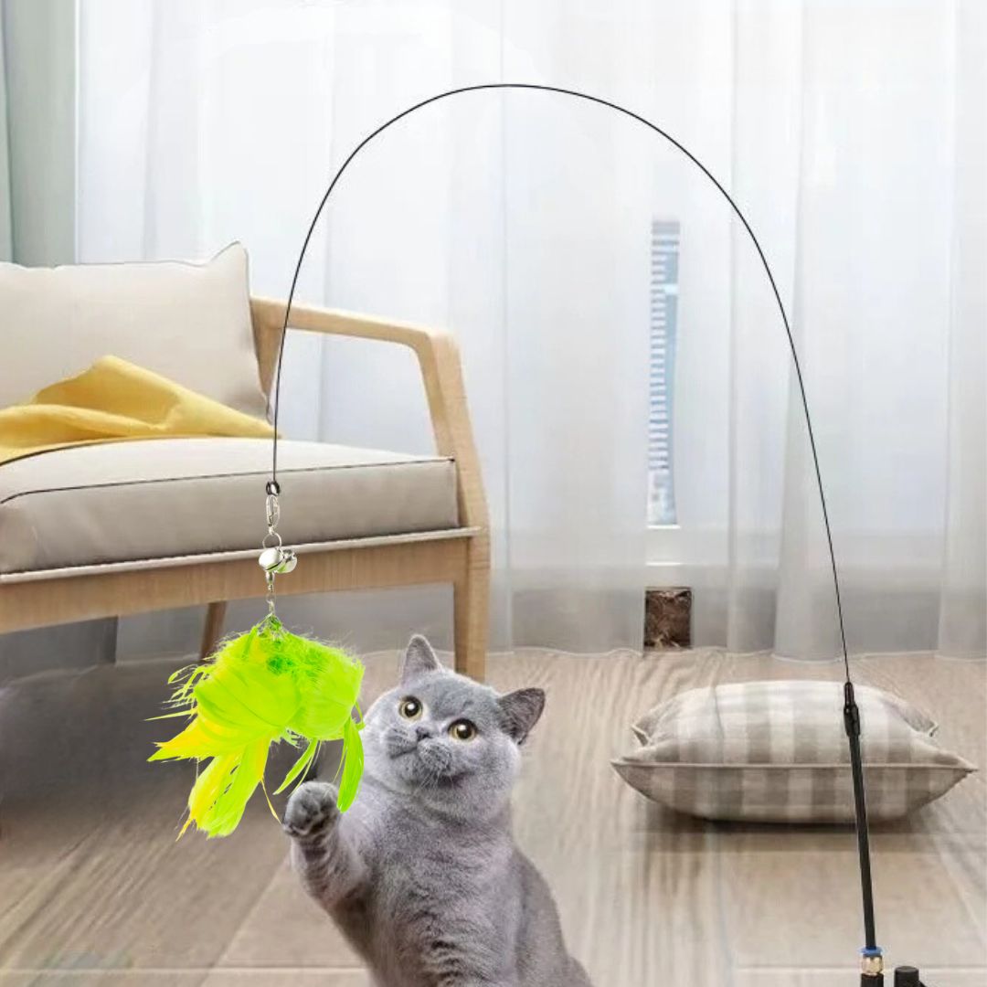 Jouet-plume-chat-happy-cat-vert