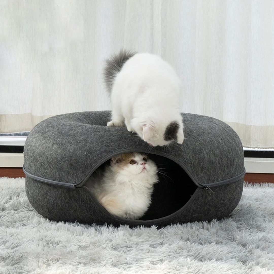 Tunnel-pour-chat-coussin-nid-secret