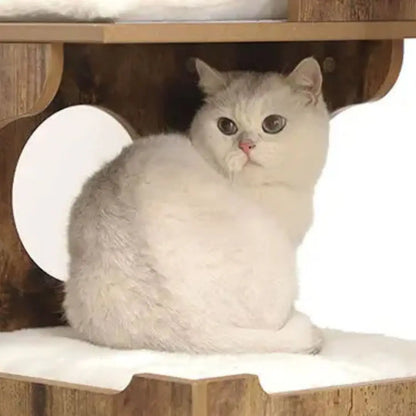 arbre-a-chat-douillet-refuge-de-minou