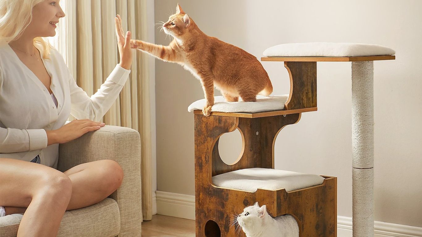 arbre a chat design