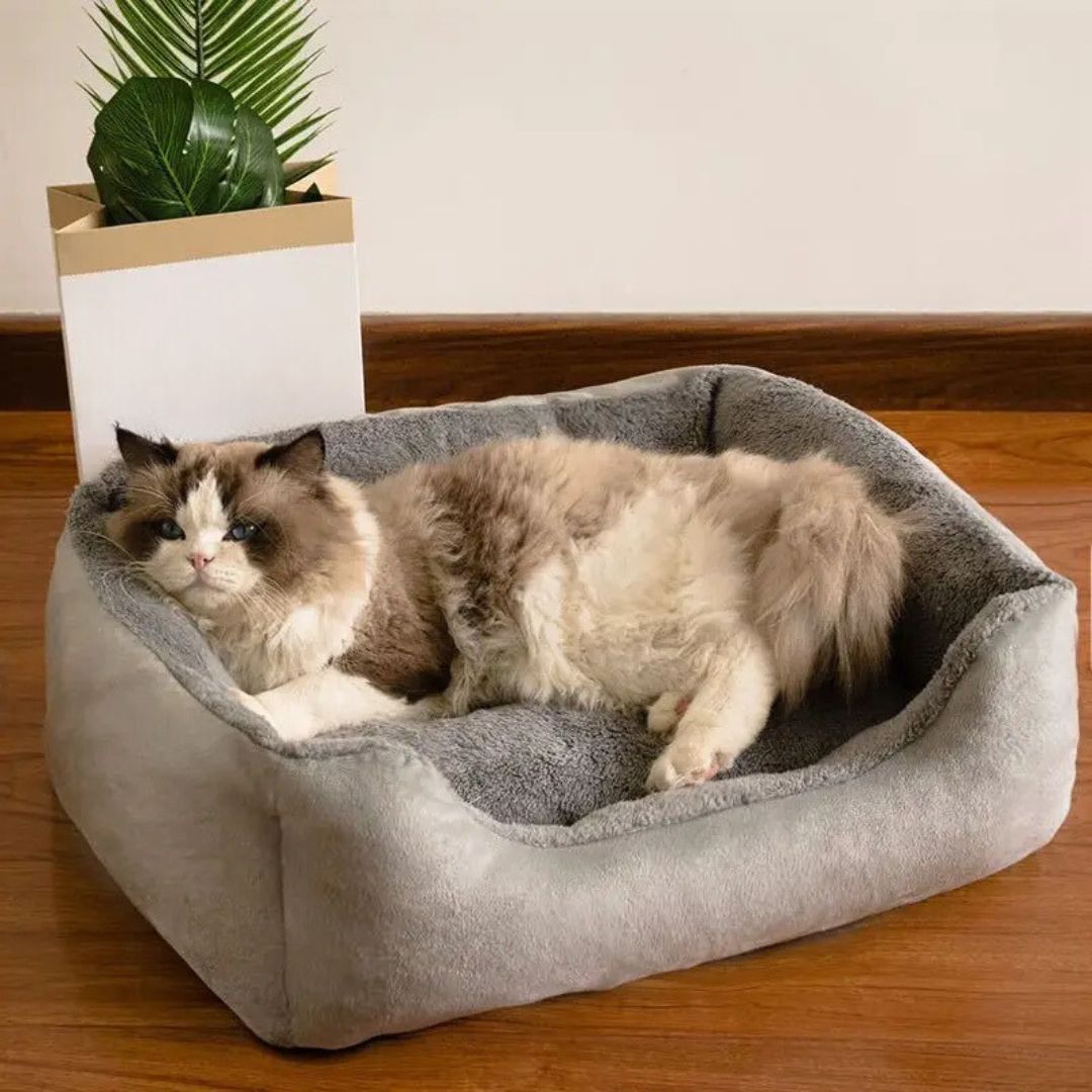 Coussin Chat Gris | Doux - Refuge™ Gris - Arbre à Chat