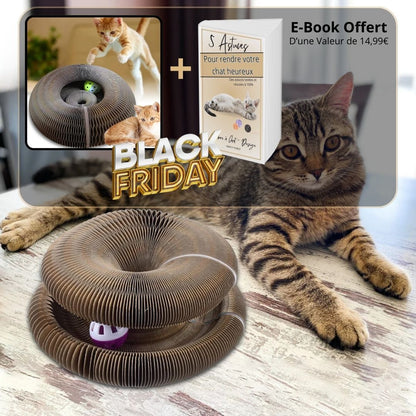 griffoir-chat-jouet-play-griff-black-friday