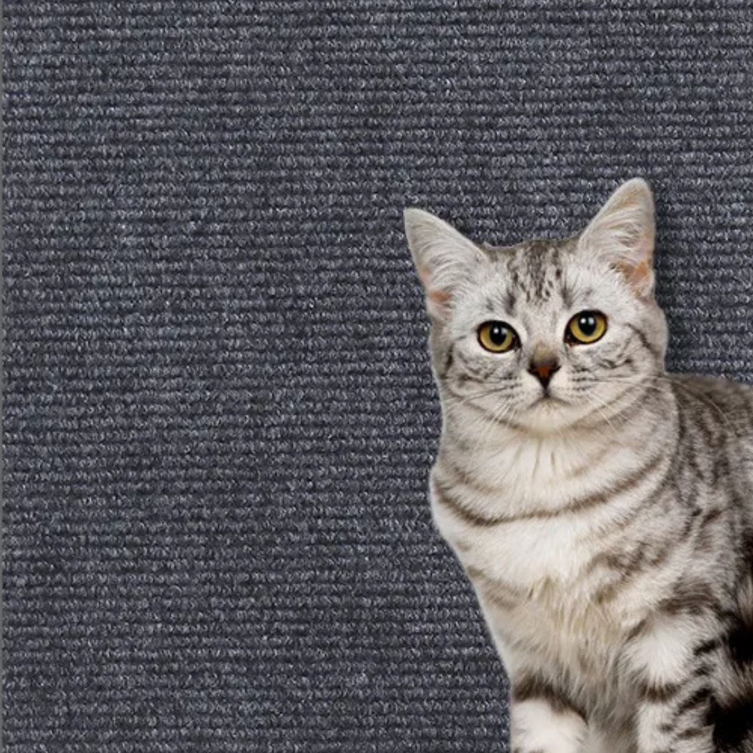 griffoir-chat-protection-gris-fonce-escalade