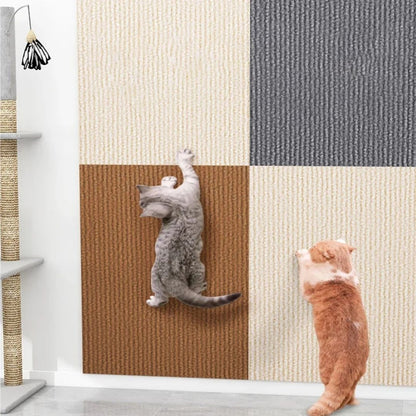 griffoir-chat-protection-mur escalade-escalade