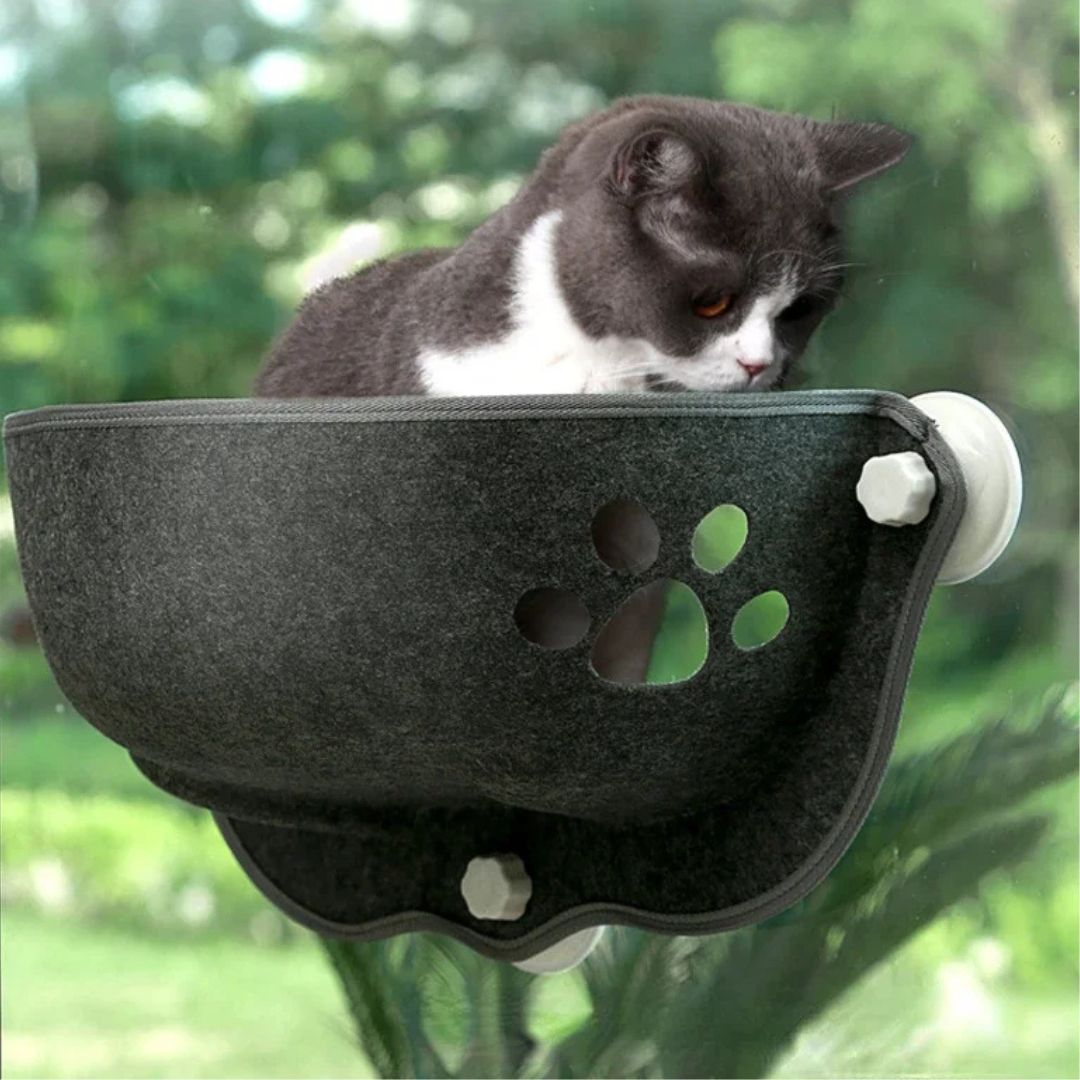 hamac-pour-chat-confortable-nuage-douillet